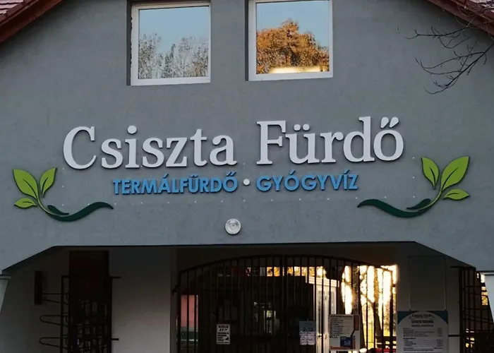 Fenyohazak Apartment Buzsak